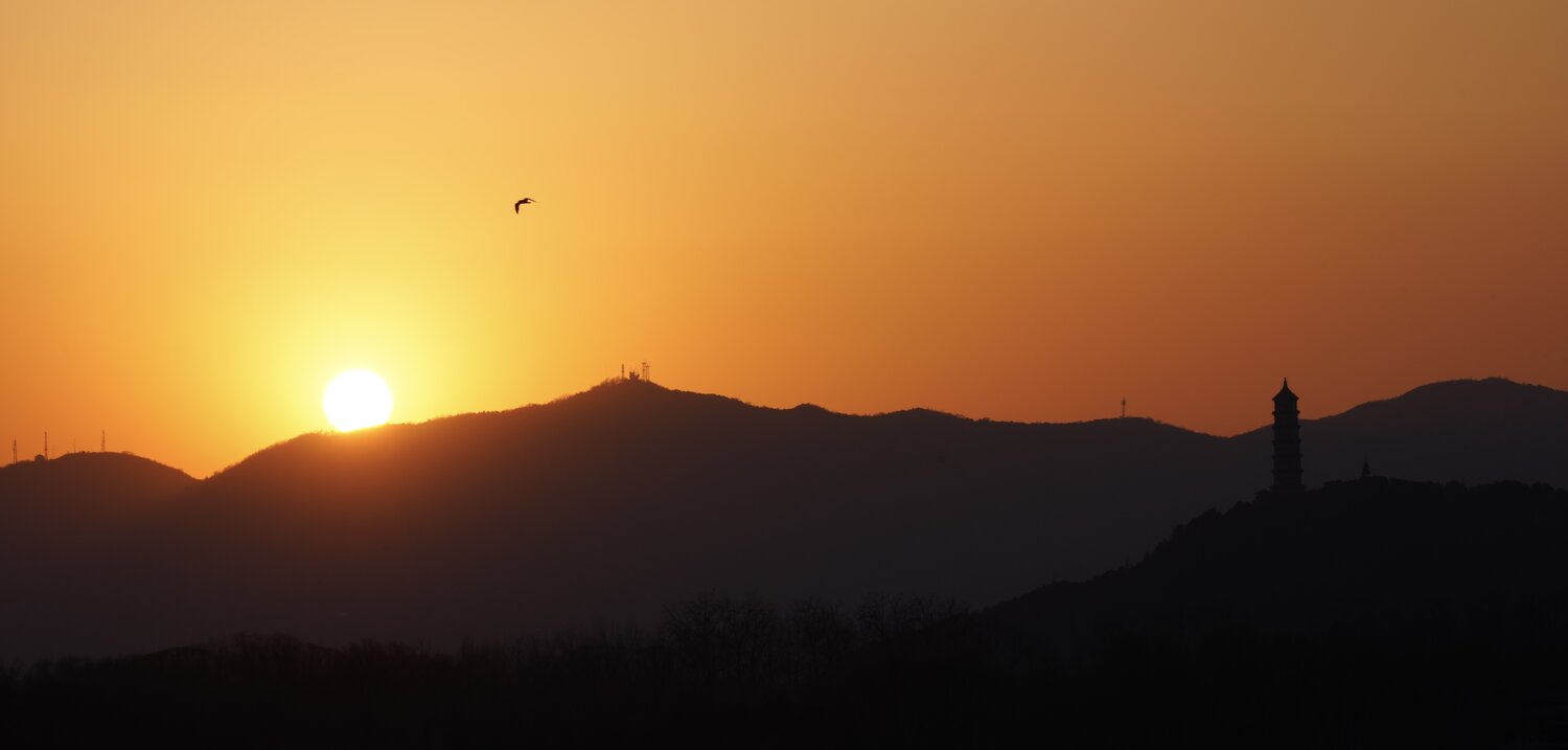 Photo #14025609