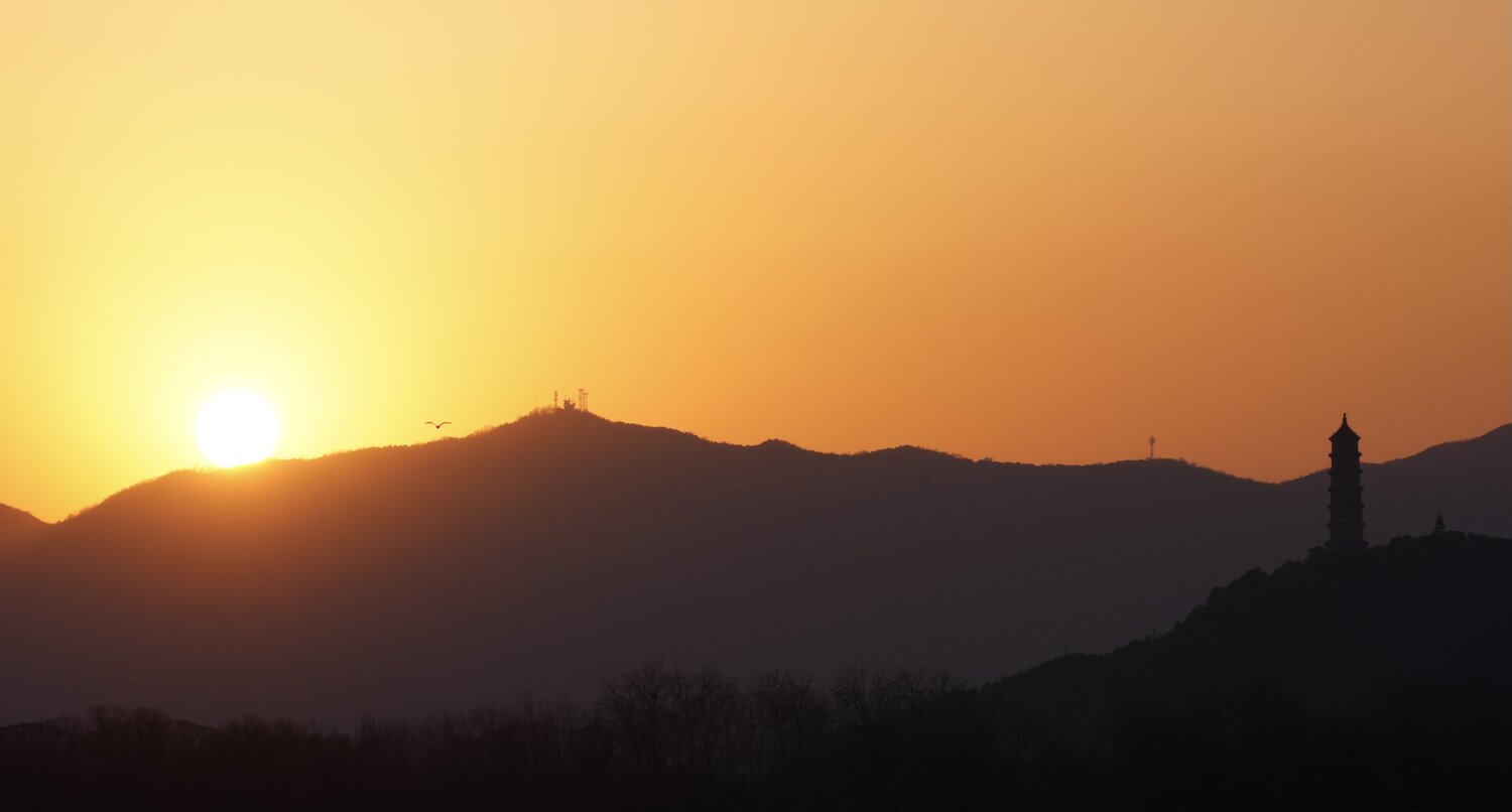Photo #14025610