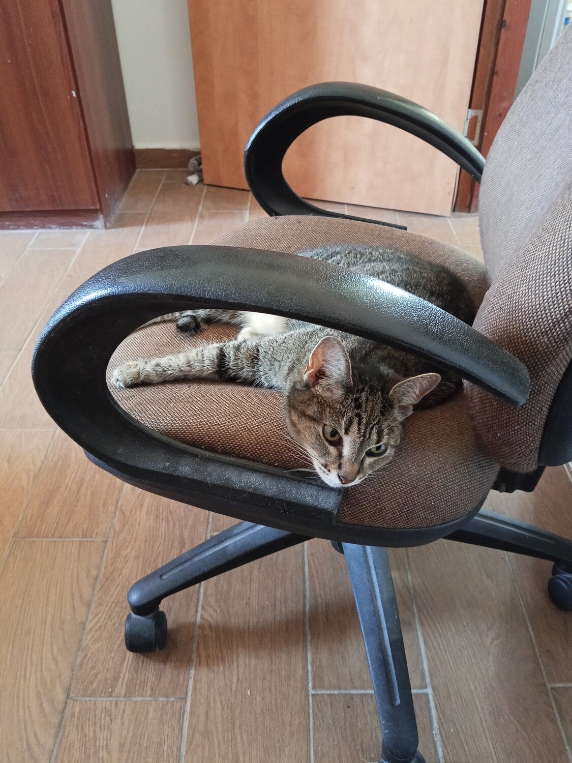 Photo #14025619