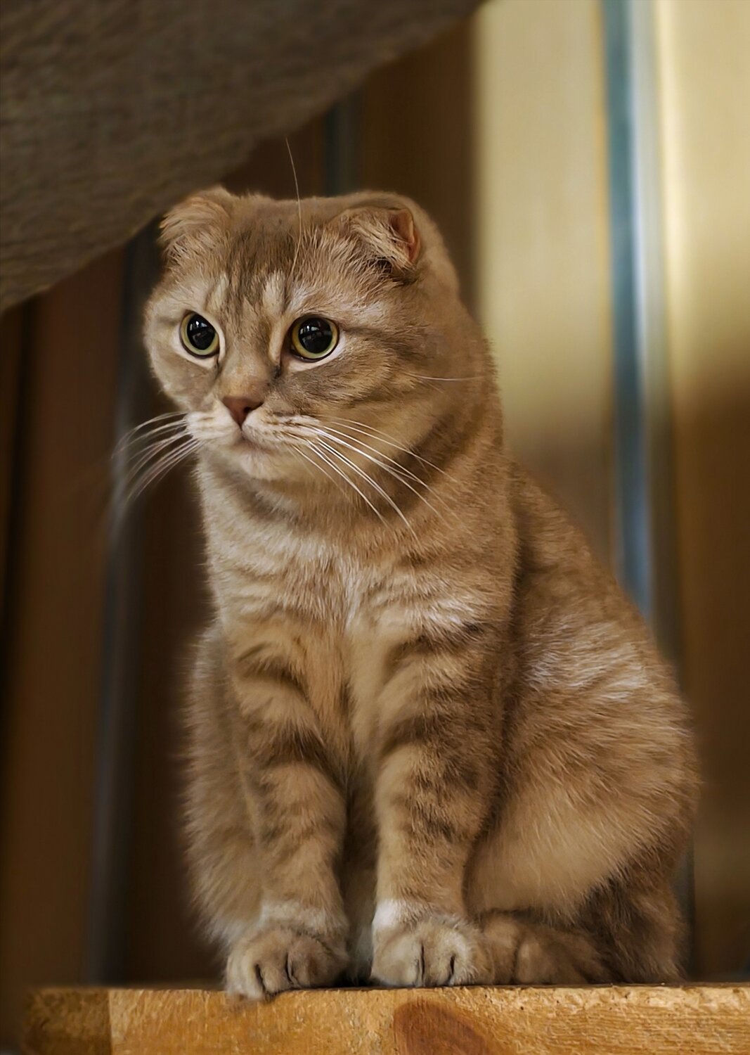 Photo #14025630
