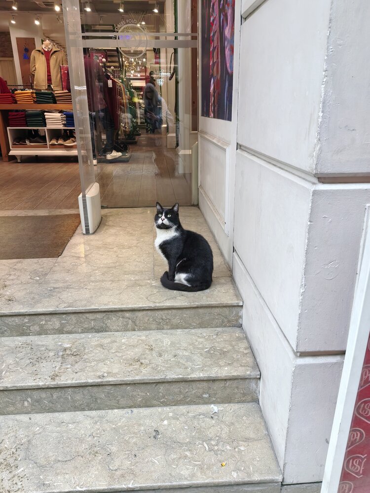 Photograph by Olga Kot