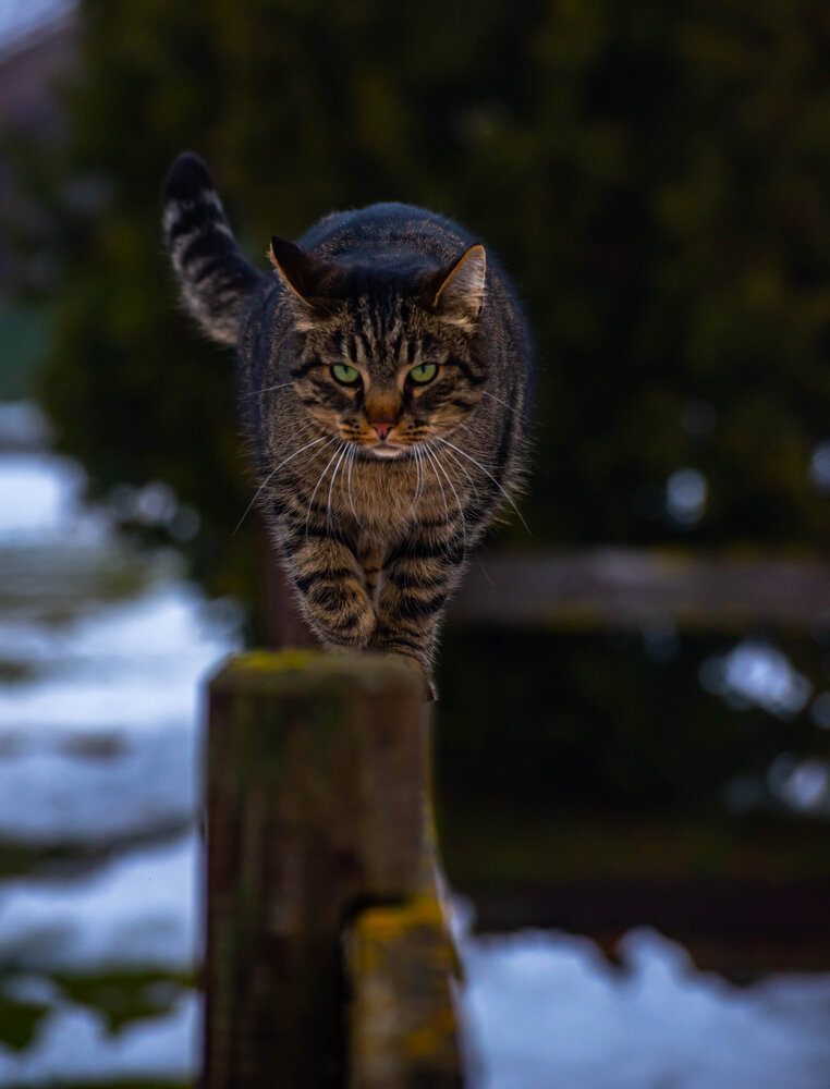 Photograph by Aлексей Игнатьев