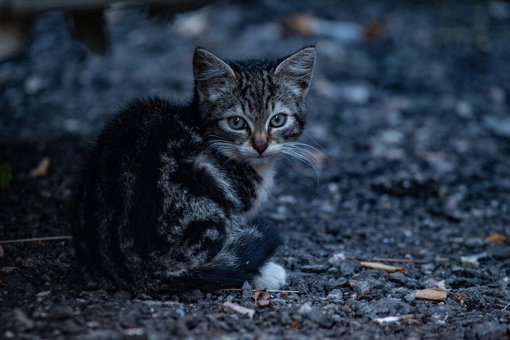 Photograph by Aлексей Игнатьев