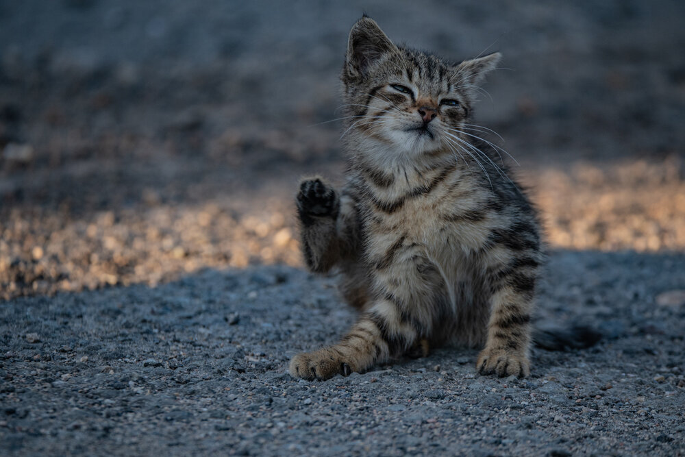 Photograph by Aлексей Игнатьев