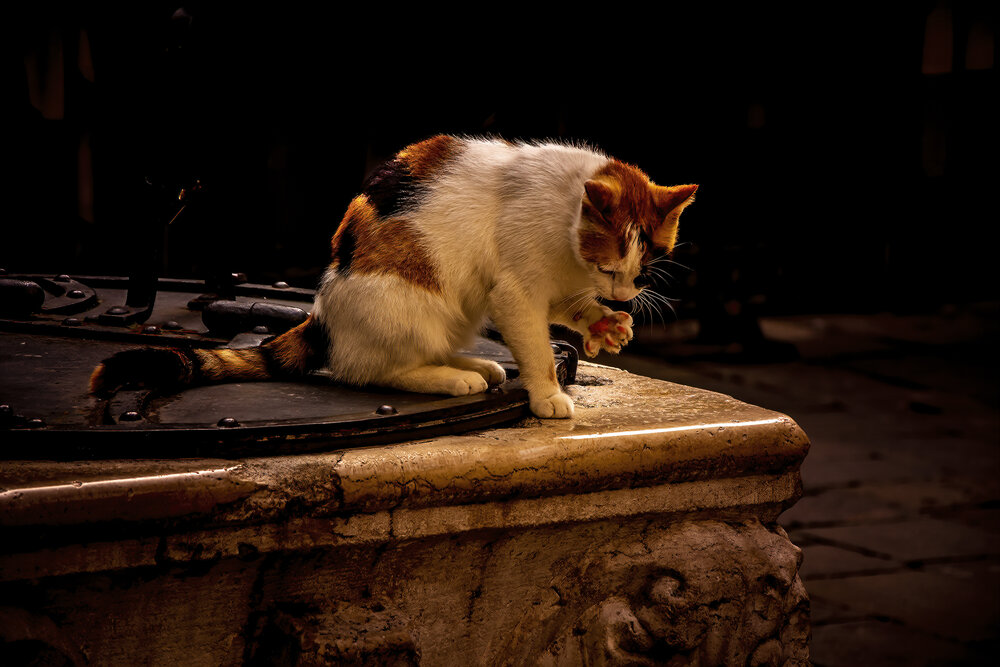 Photograph by Ximo Torres