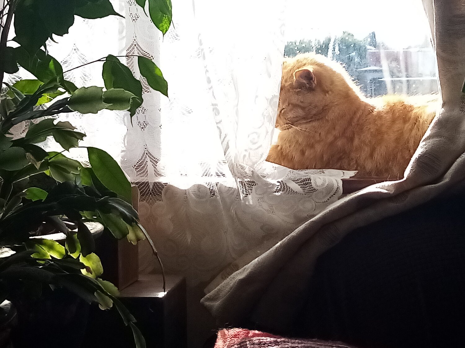 Photo #14025734