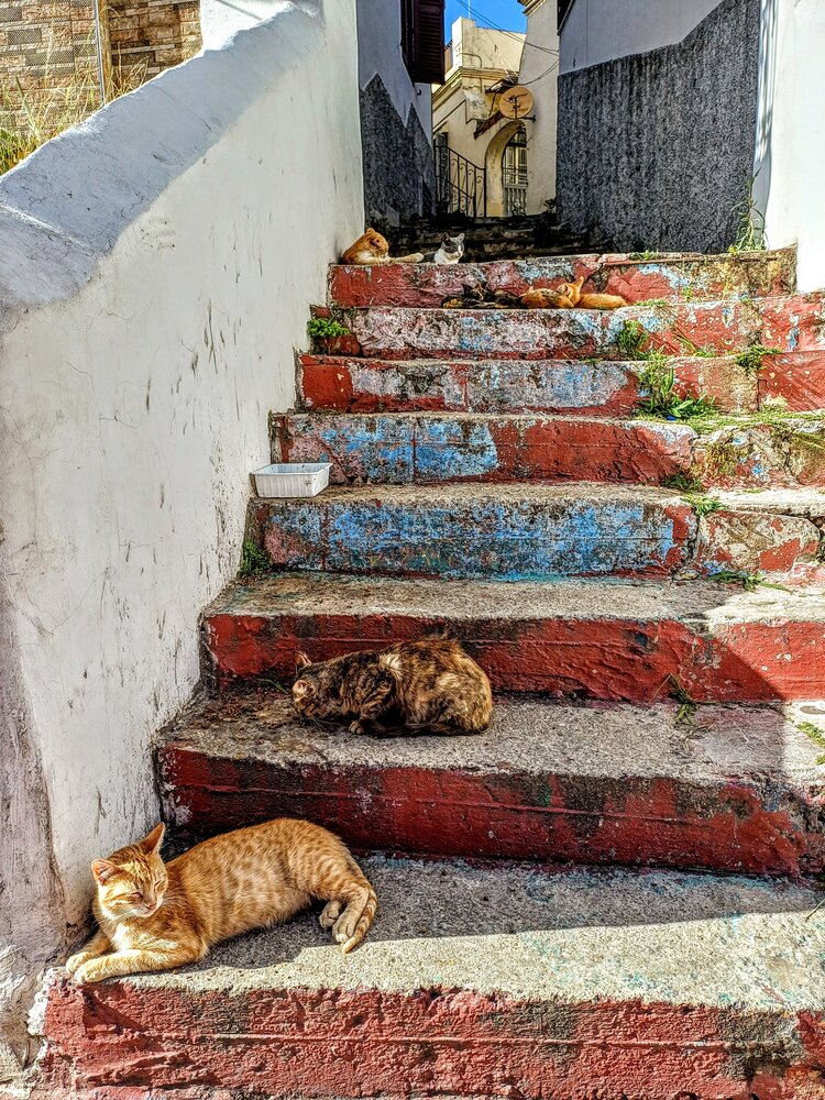 Photograph by Любовь Филиппова