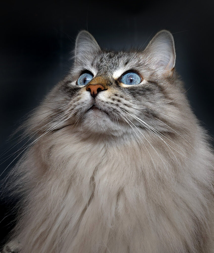Photograph by Марина Виноградова
