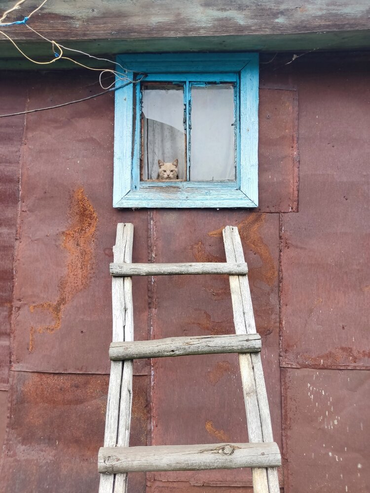 Фотография автора Ксения Уварова