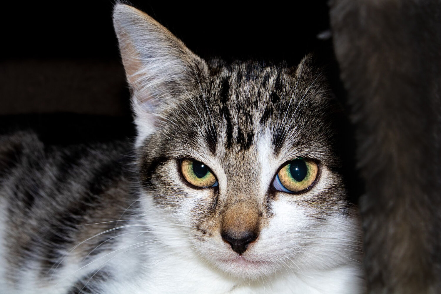 Photo #14025753