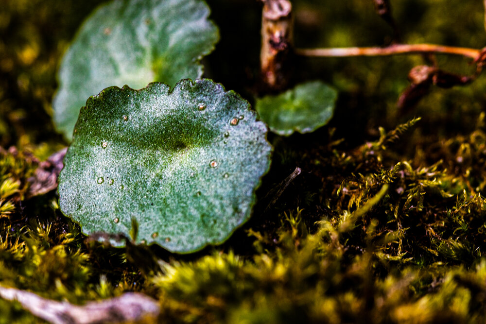 Photograph by Lydia Hebras
