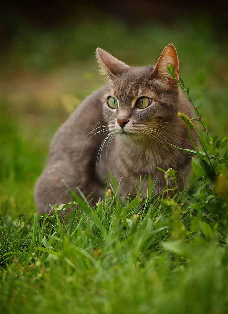 Photograph by Мария Толкачёва