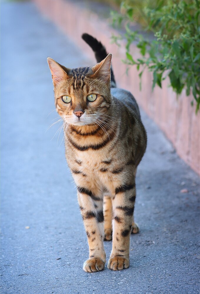 Photograph by Мария Толкачёва