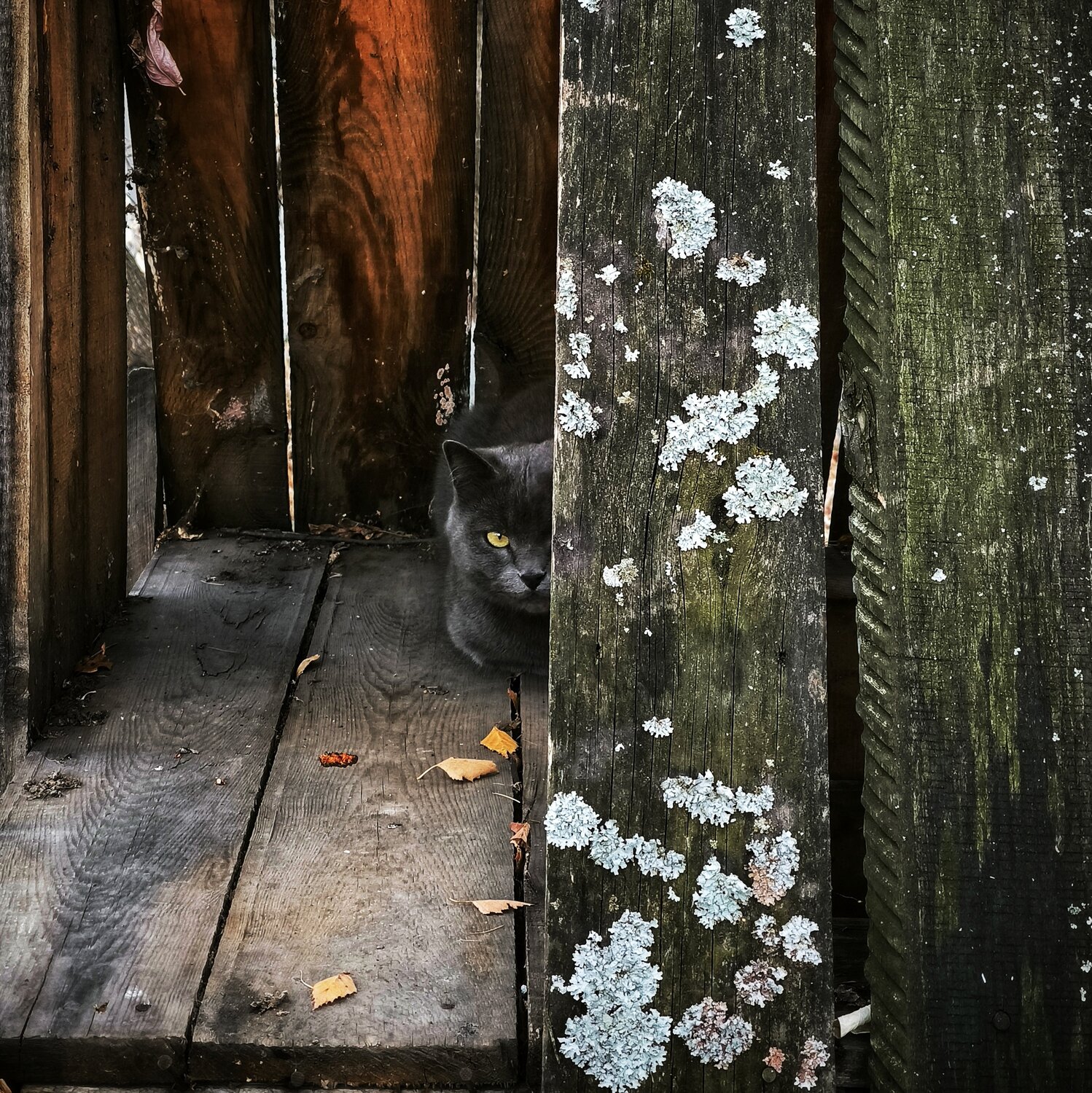 Photo #14025773
