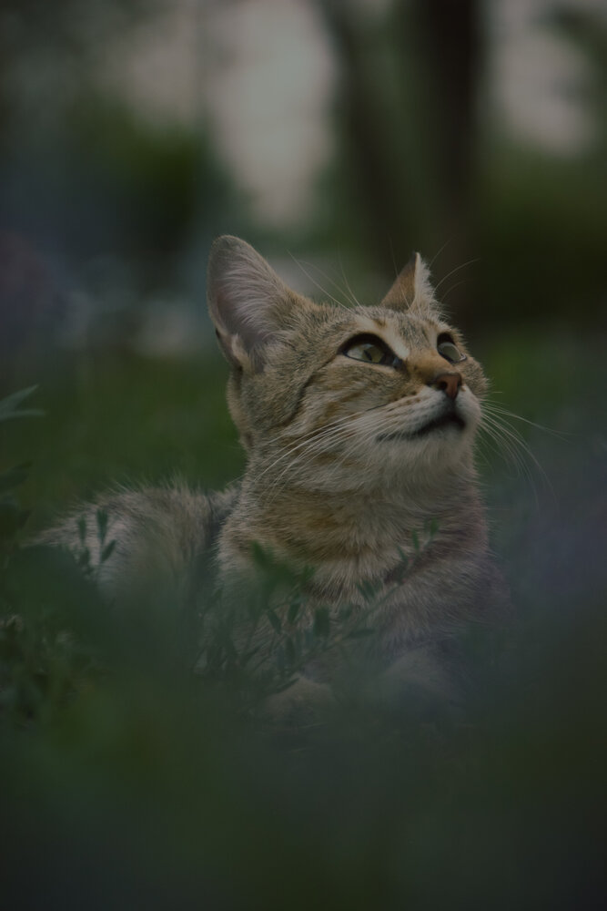 Photograph by Игорь Сухаревич