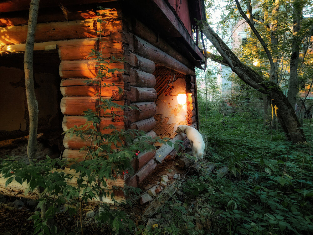 Photograph by Кондрашова Светлана
