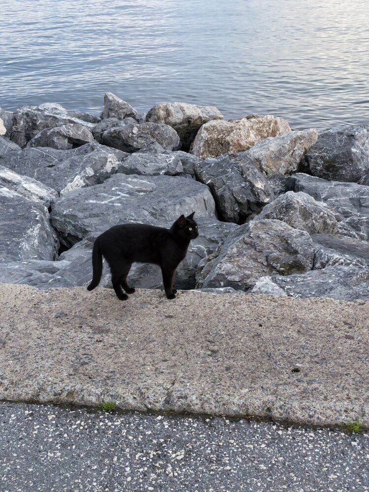 Photograph by Olga Kot