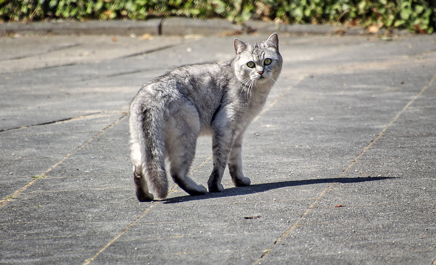 Photo #14025802