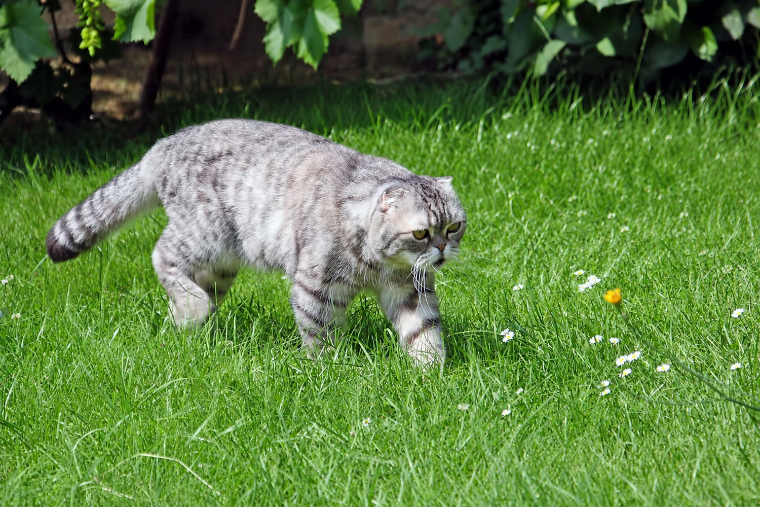 Photo #14025806