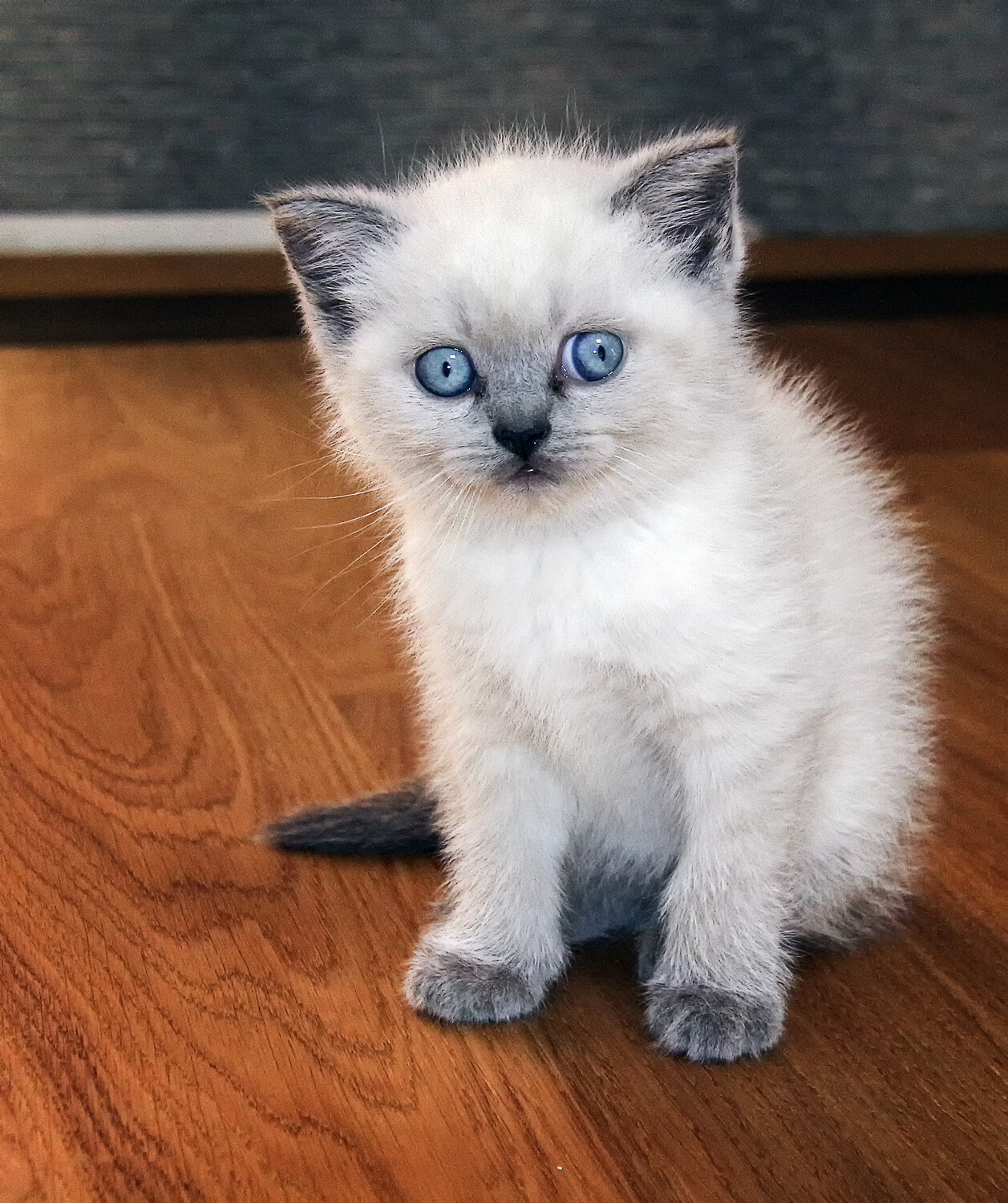 Photo #14025809