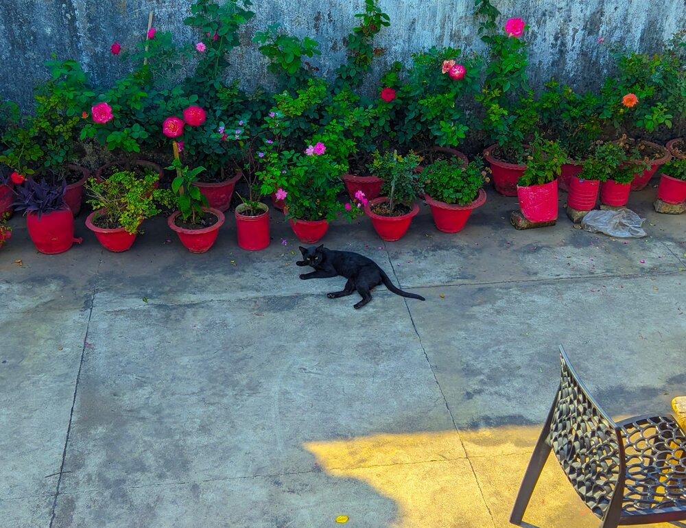 Photograph by Navya Modi