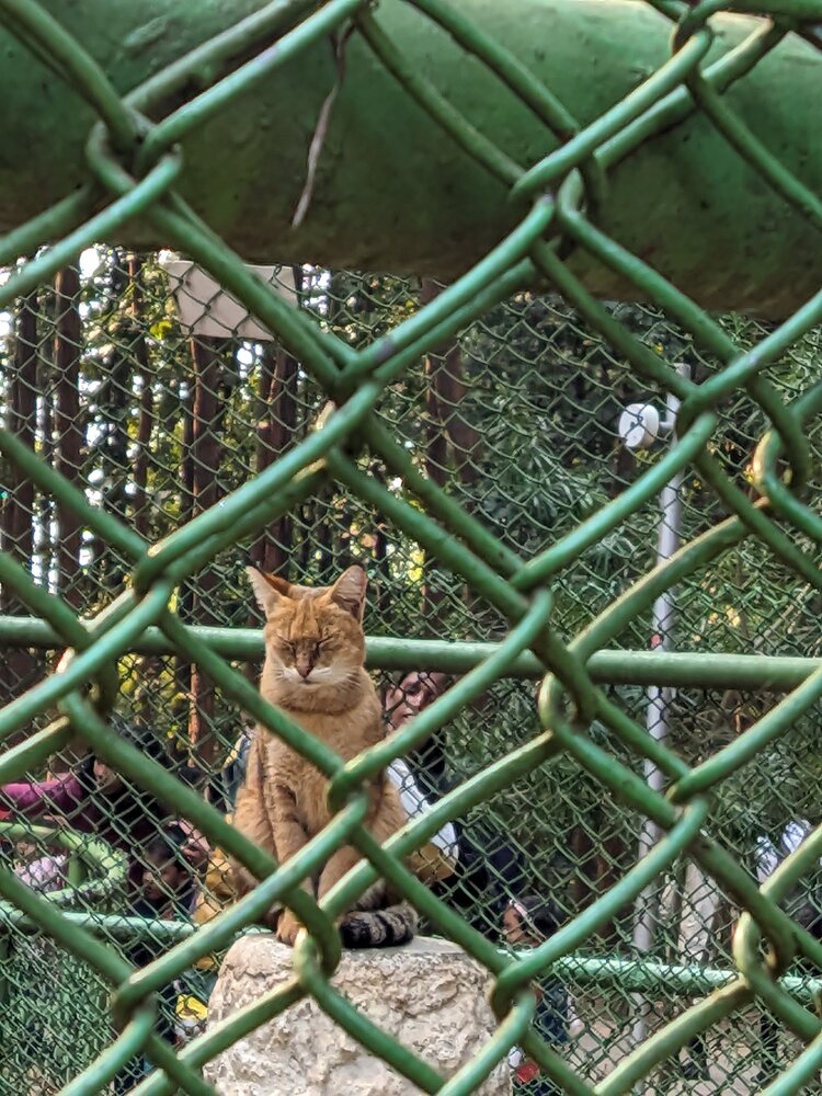 Photograph by Navya Modi