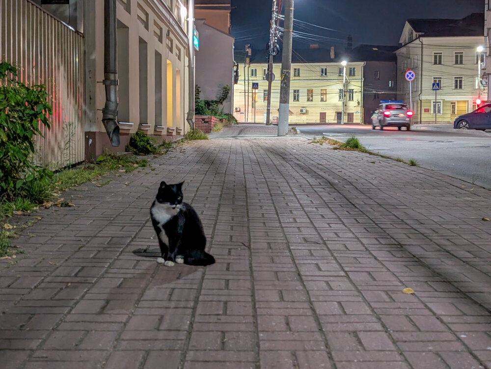 Photograph by Тимофей Овчинников