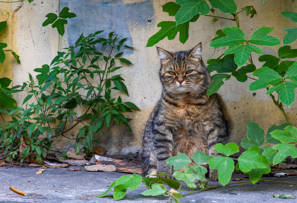 Photograph by Тимофей Овчинников