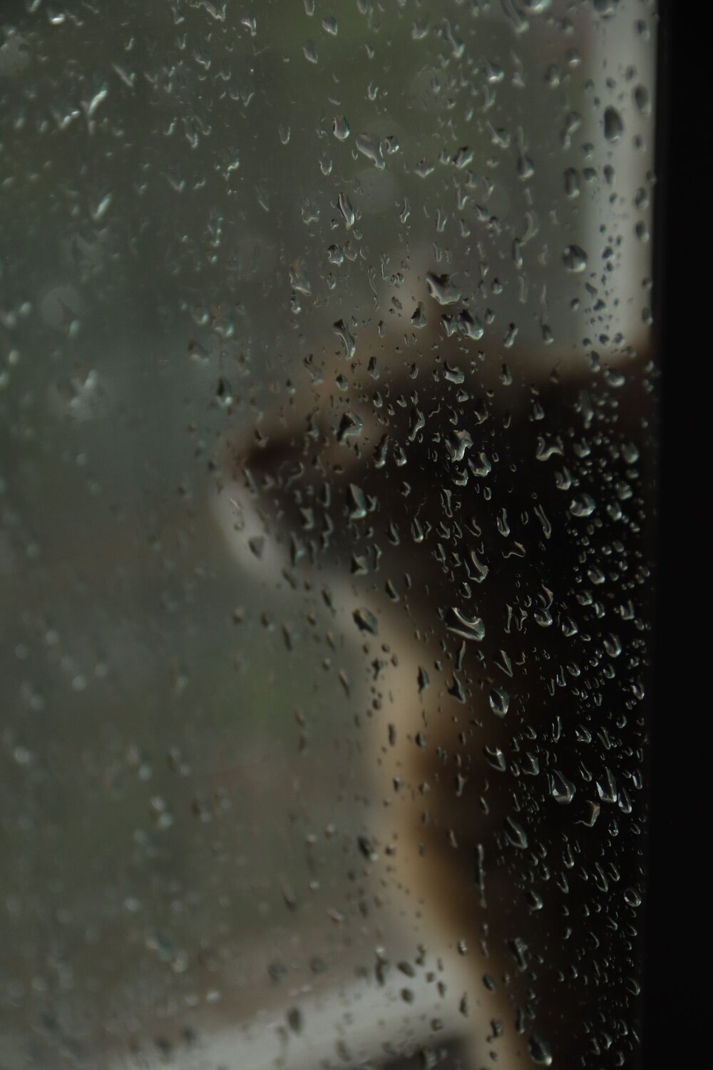 Photo #14025889