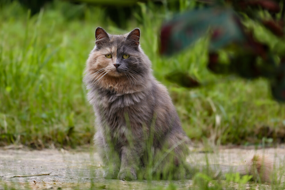 Photograph by Кульчицкий Андрей