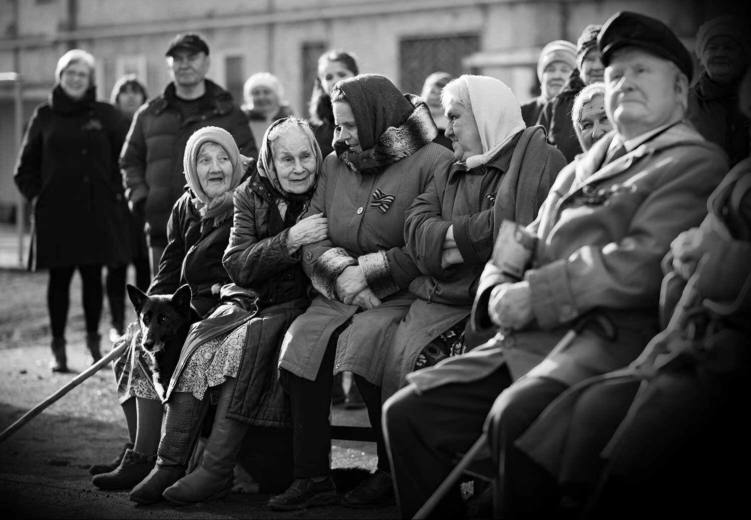 Photo #14025953