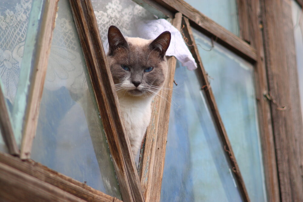 Photograph by Илья Воронин