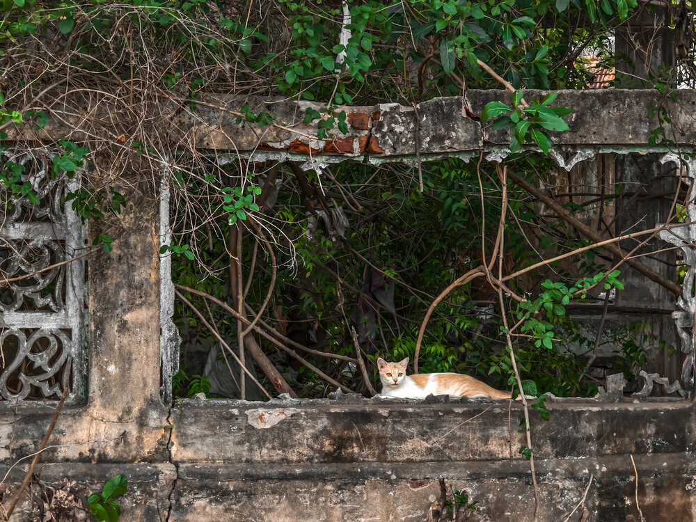Photograph by Aadhisakthi Srinivasan
