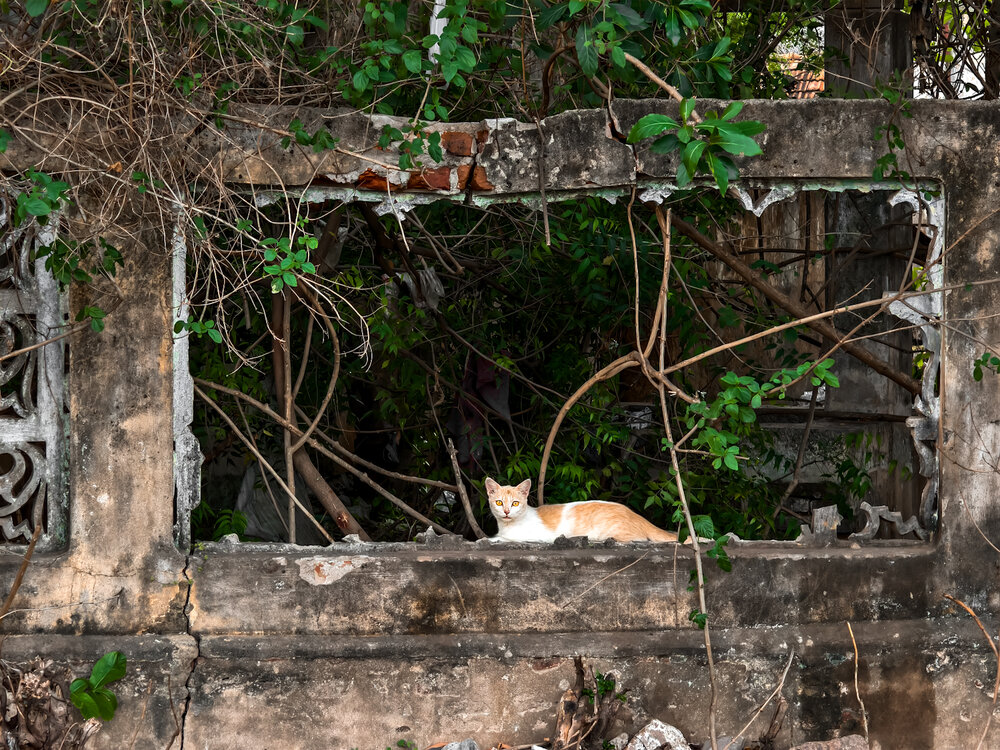 Photograph by Aadhisakthi Srinivasan
