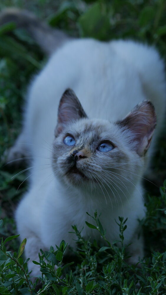 Photo #14026003