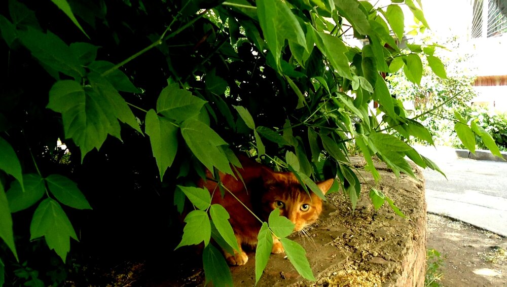 Photograph by Сергей Хвостовец