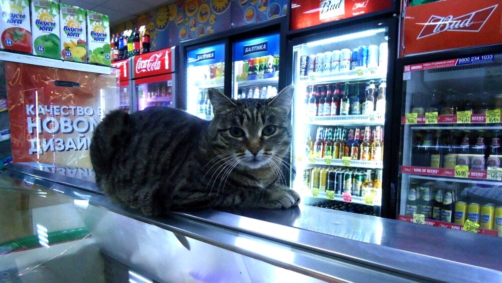 Photograph by Сергей Хвостовец