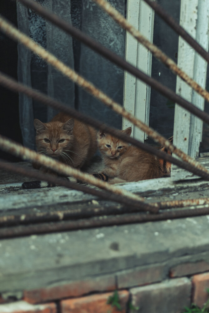 Photograph by Рыбчинский Антон