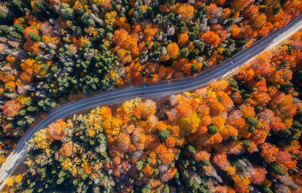 Photograph by Овсенёв Александр