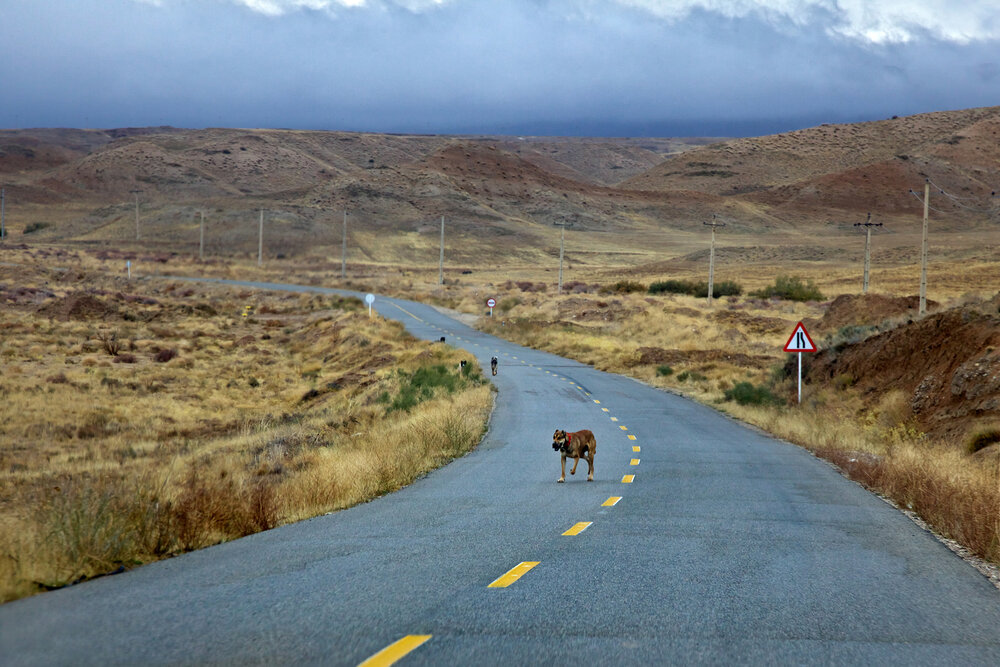Walking Forward, Never Alone
