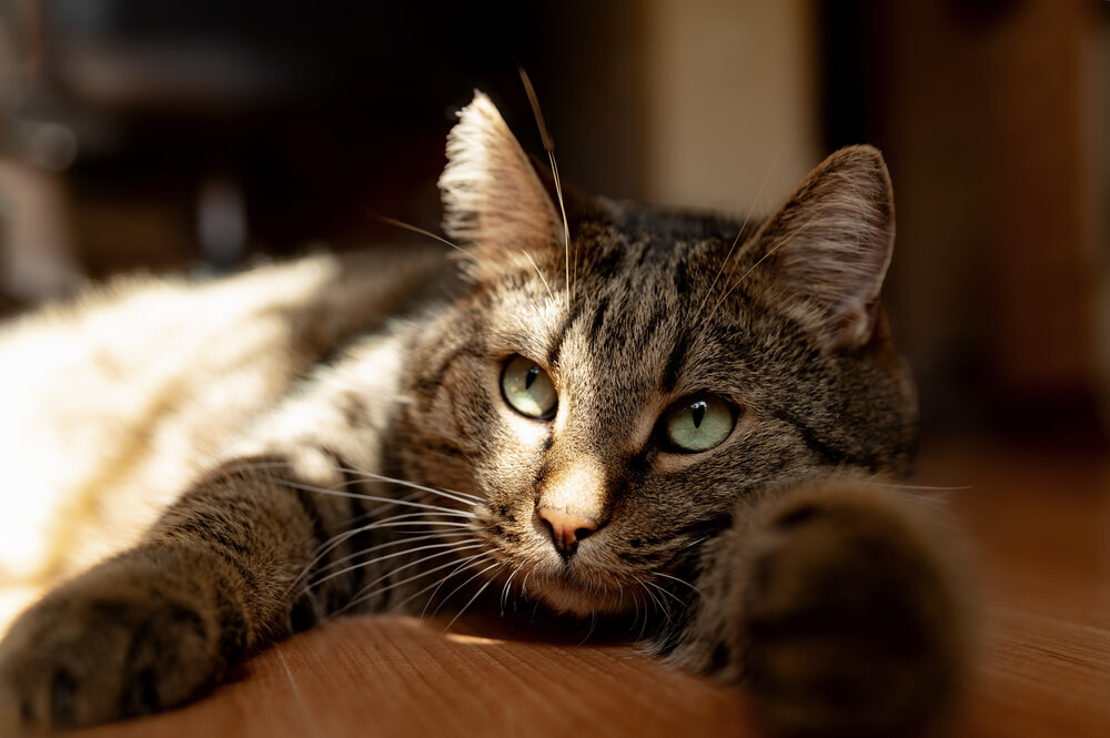Photograph by Olga Smirnova