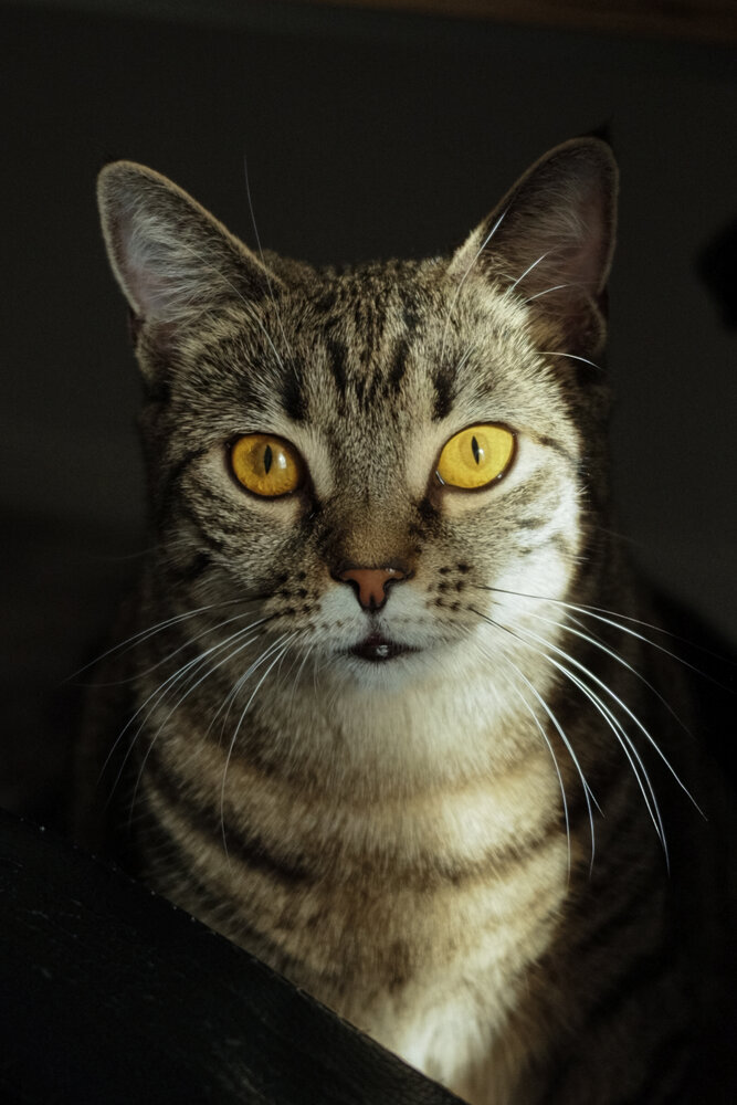 Photograph by Рыбчинский Антон