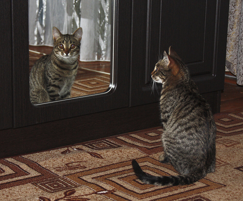Photograph by Николай Кузьмин