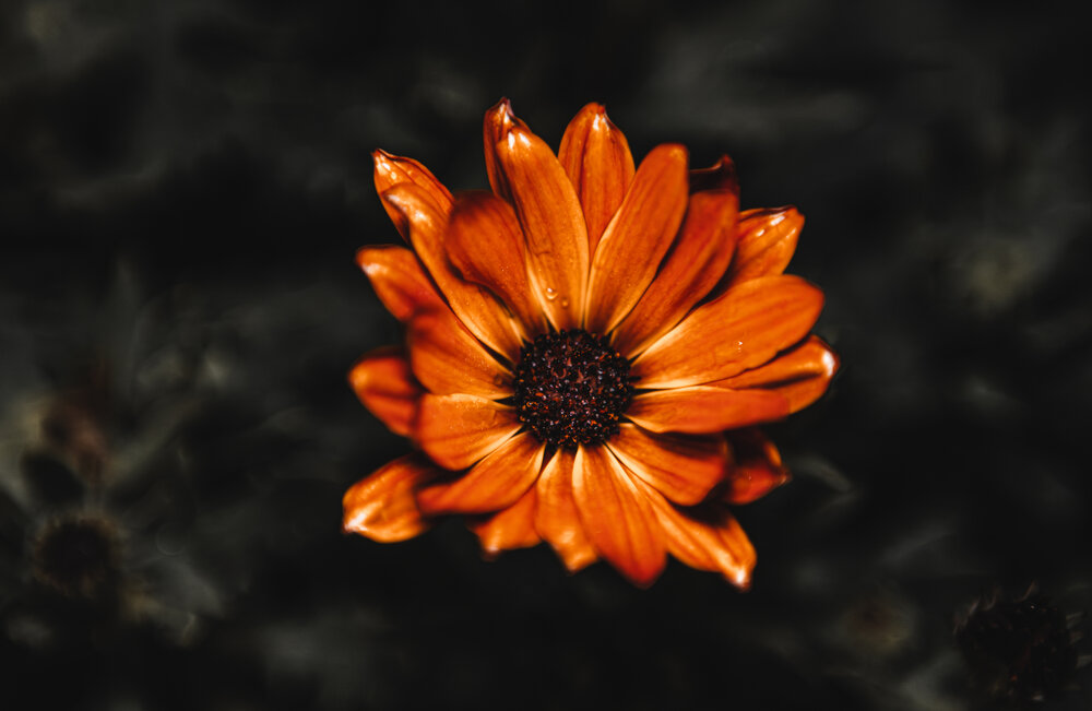 Photograph by Павел Ващилов