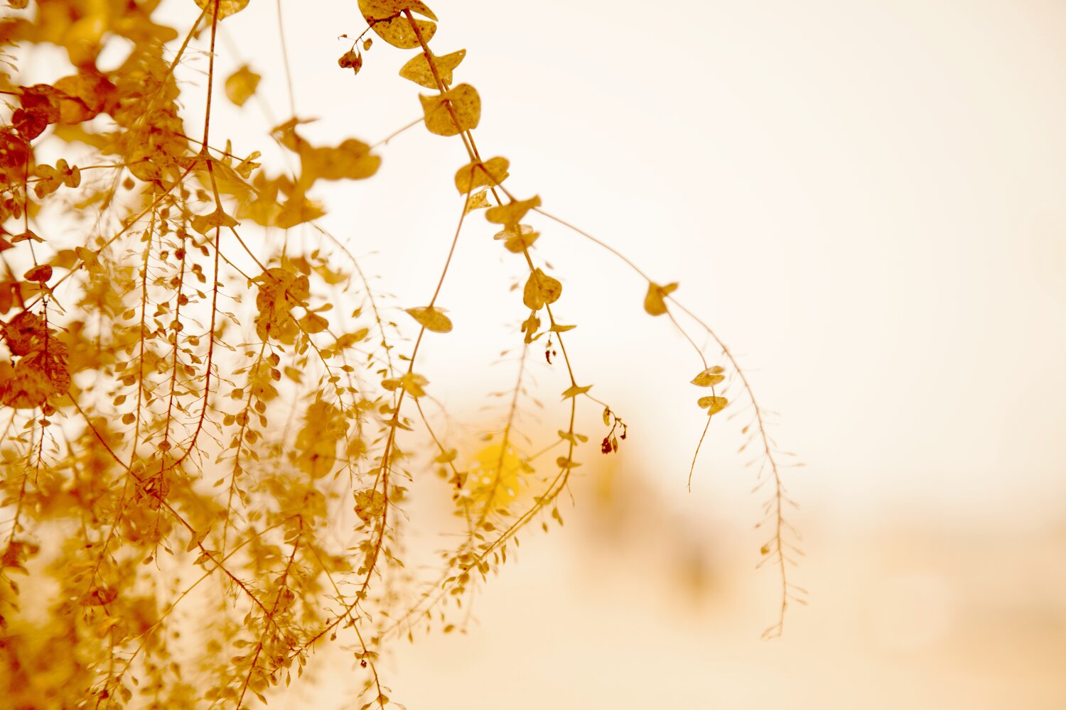 Photo #14026206