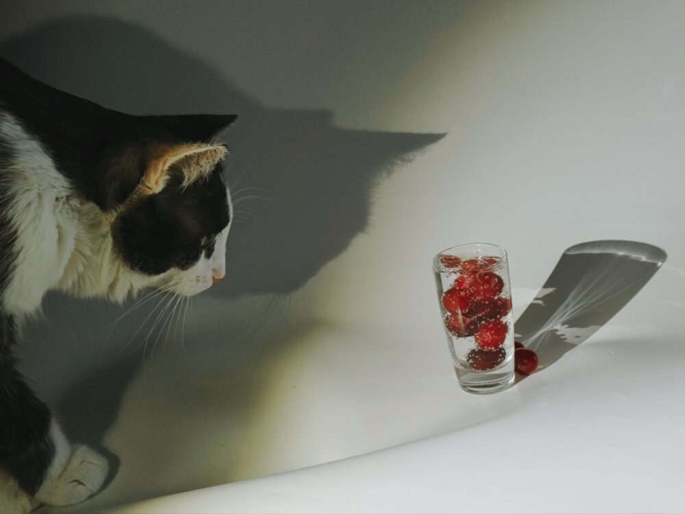 Photograph by Ирина Строкова