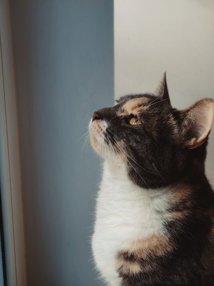 Photograph by Дарина Ворошилова