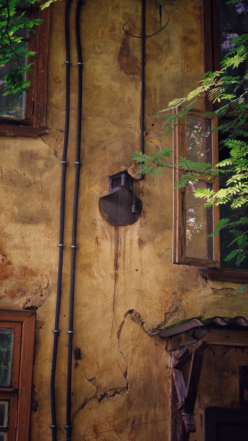 Photo #14026292