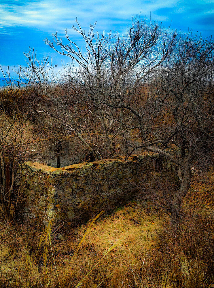 Photograph by Rusik Vladivostok