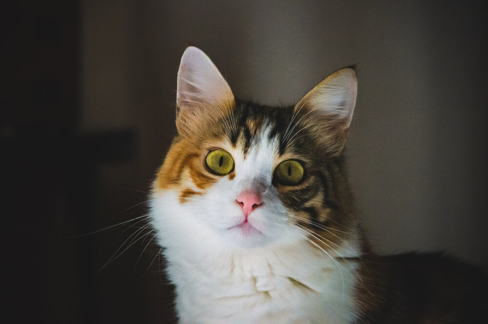 Photograph by Ayşegül Aytören